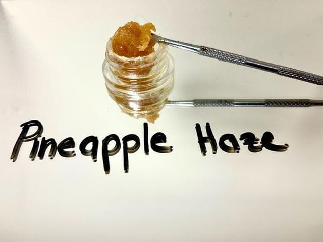 Pineapple Haze Caviar