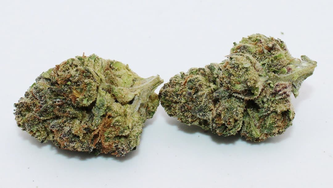 Jealousy Ounce/28.3Grams(30%THC,HYBRID)