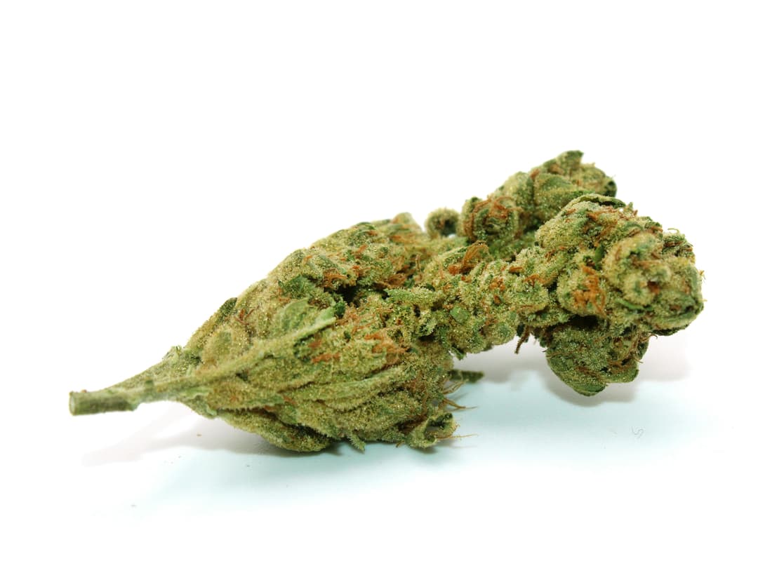 Biscotti Ounce/28.3Grams(29%THC,INDICA)