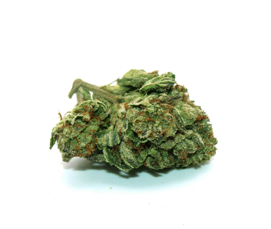 Gelato 41 1 Gram (29% THC, HYBRID)
