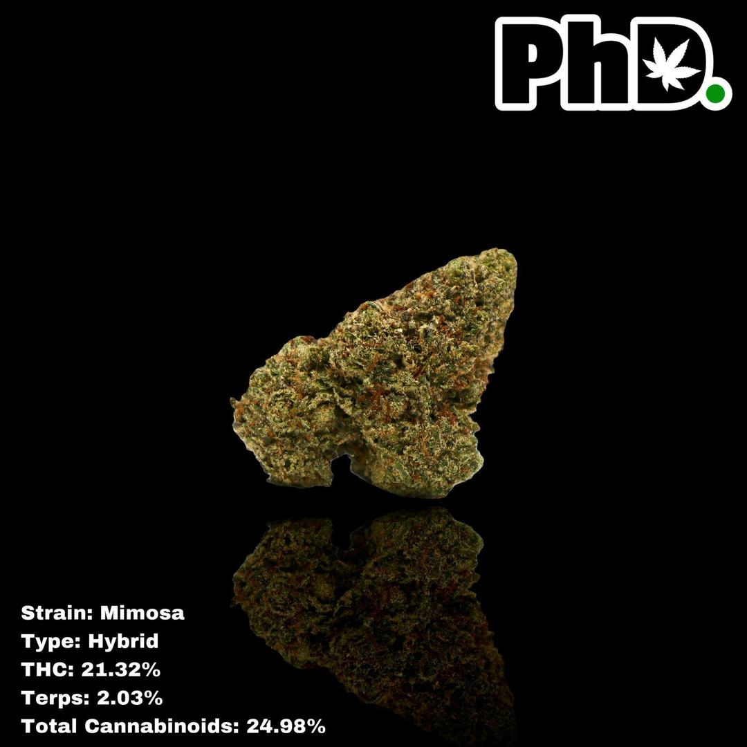 PhD Indoor Flower - Mimosa