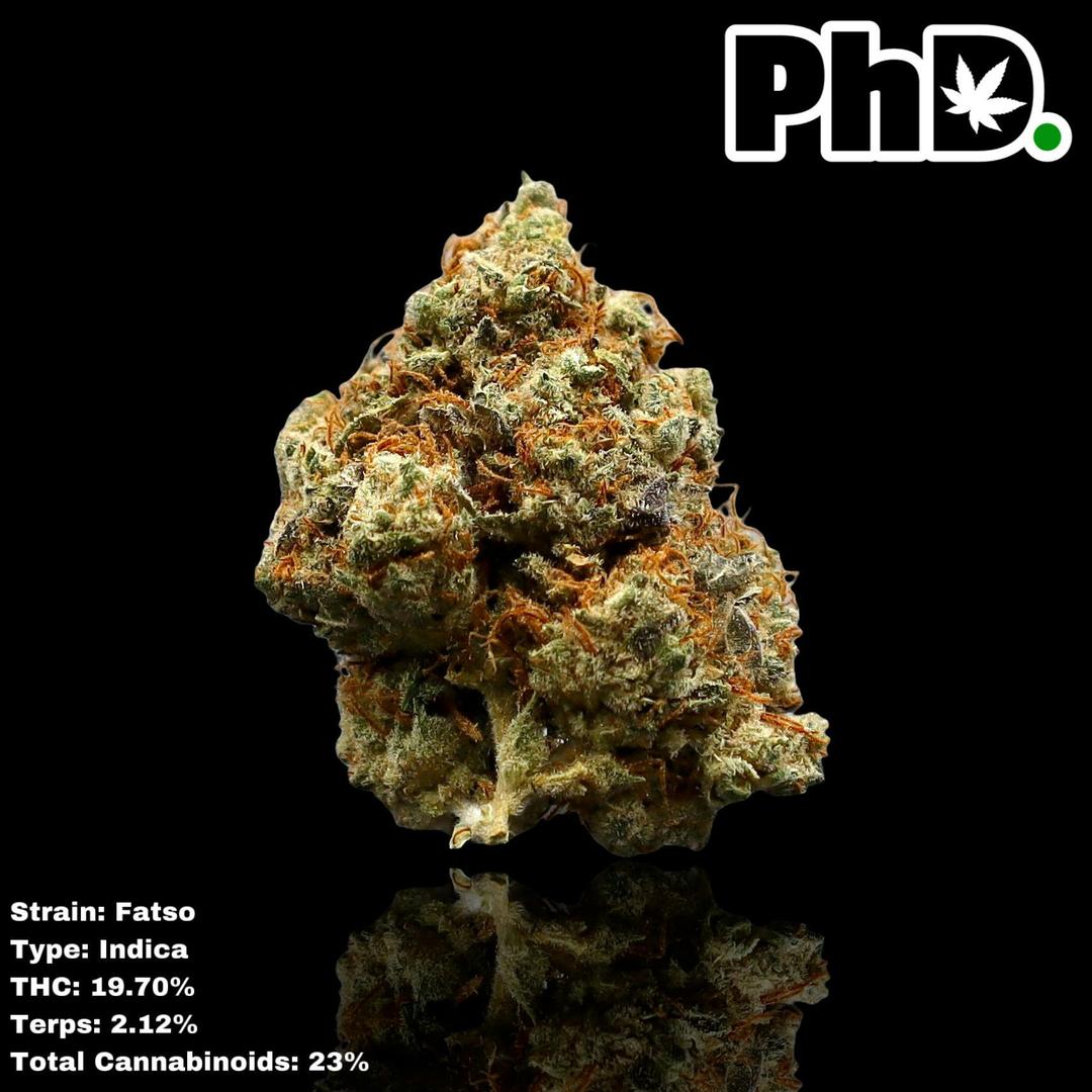 PhD Indoor Flower - Fatso