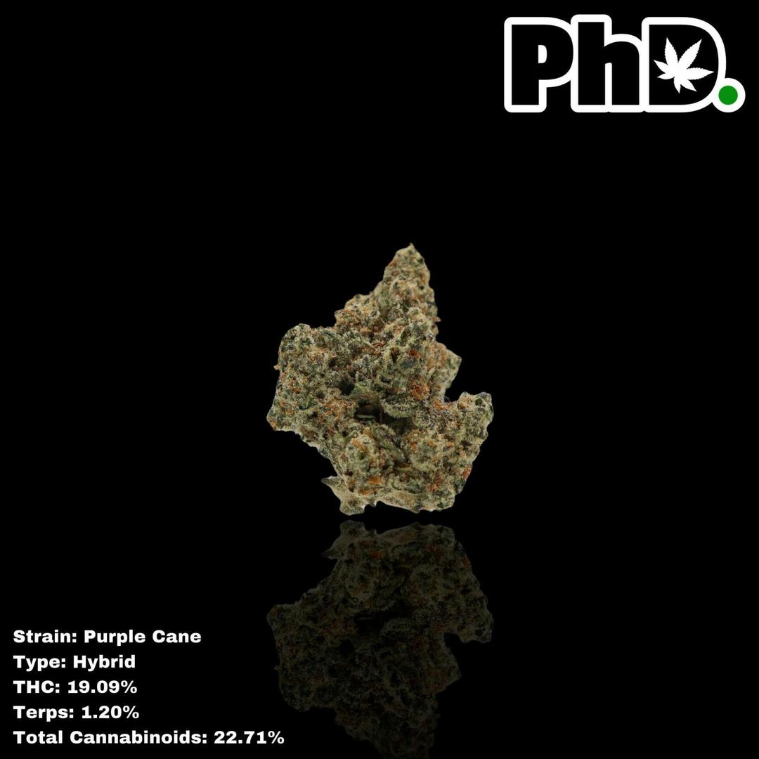 PhD Indoor Flower - Purple Cane