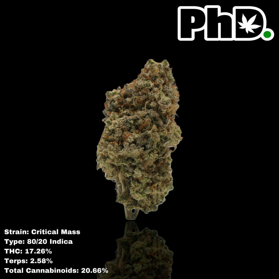 PhD Indoor Flower - Critical Mass