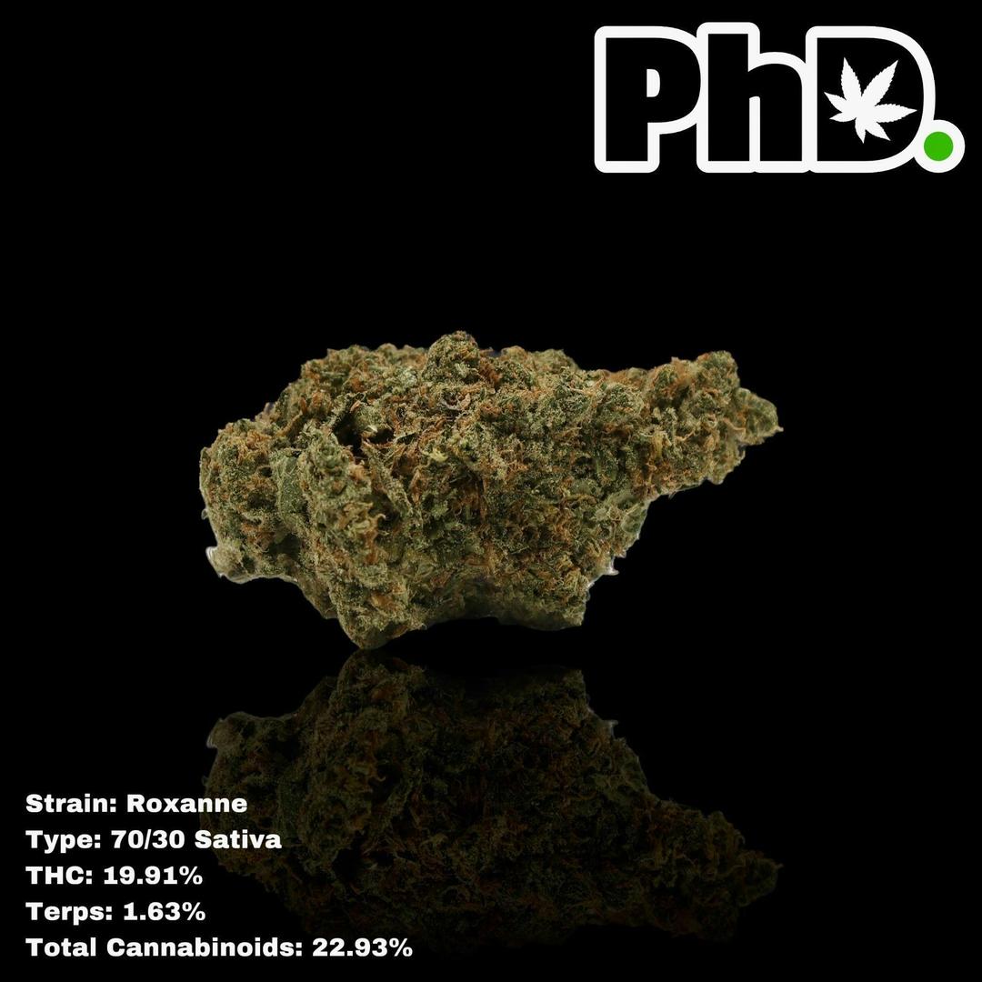 PhD Indoor Flower - Roxanne