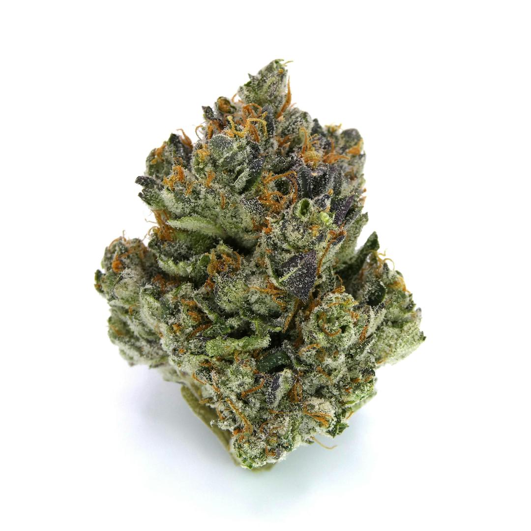 Farmer's Daughter Buds