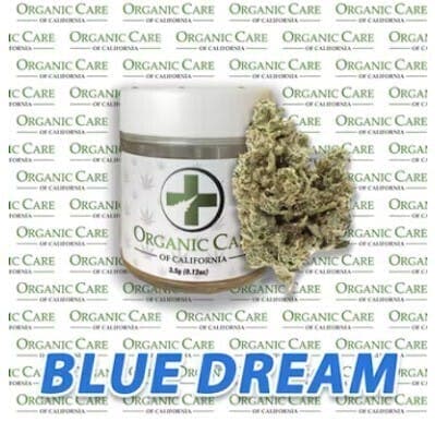 (33.6%) Blue Dream (3.5g) SATIVA