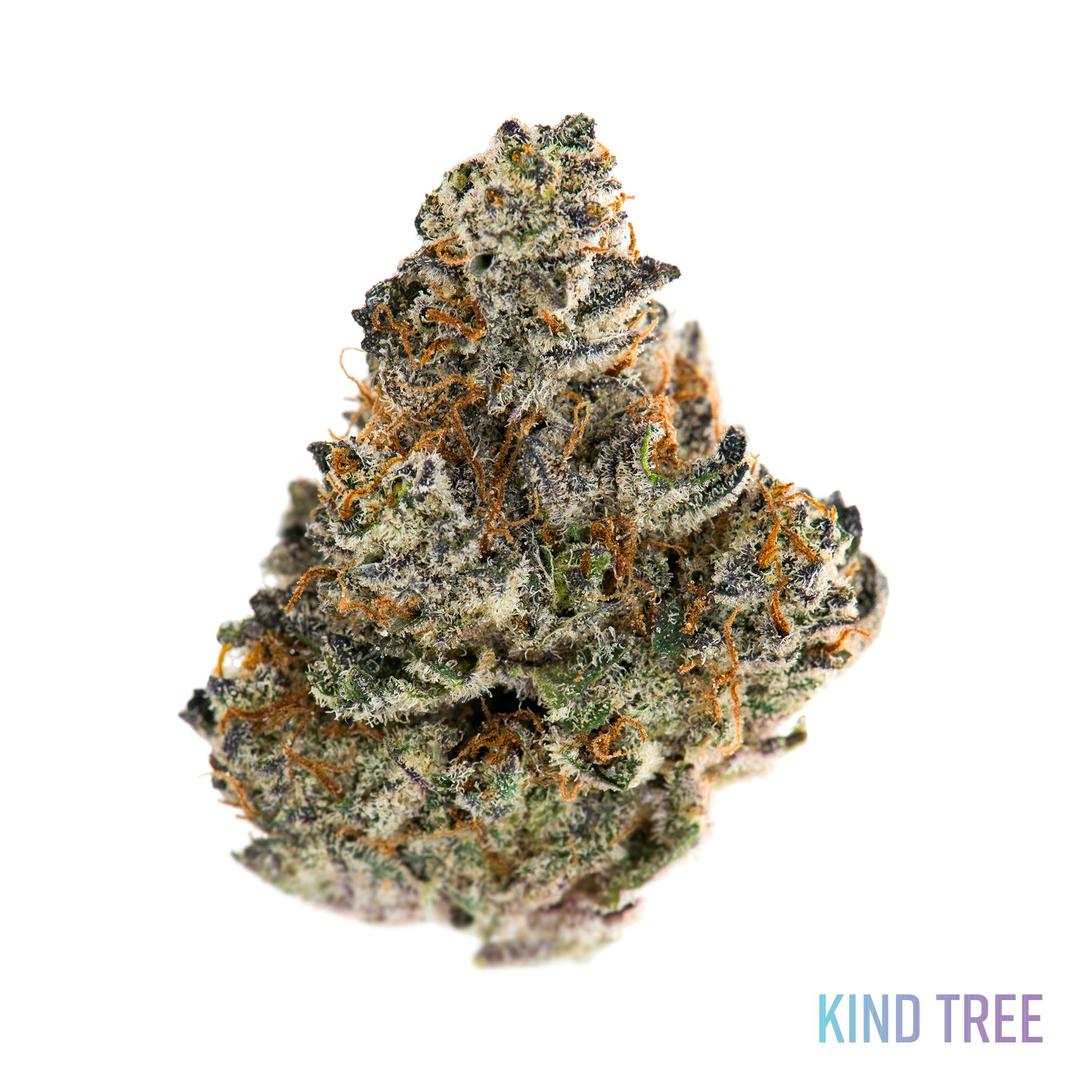 Grease Monkey