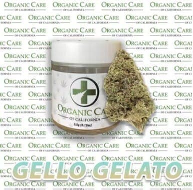 (33.5%) Gello Gelato (3.5g) HYBRID