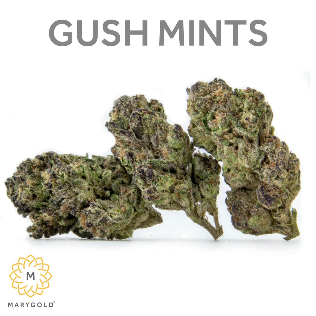 Gush Mints 14g (Indica 28% THC)