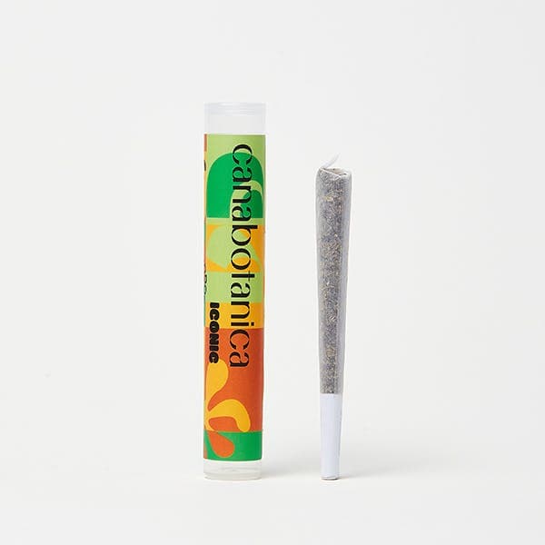Canabotanica - Pre Roll - Sour Cream 1g