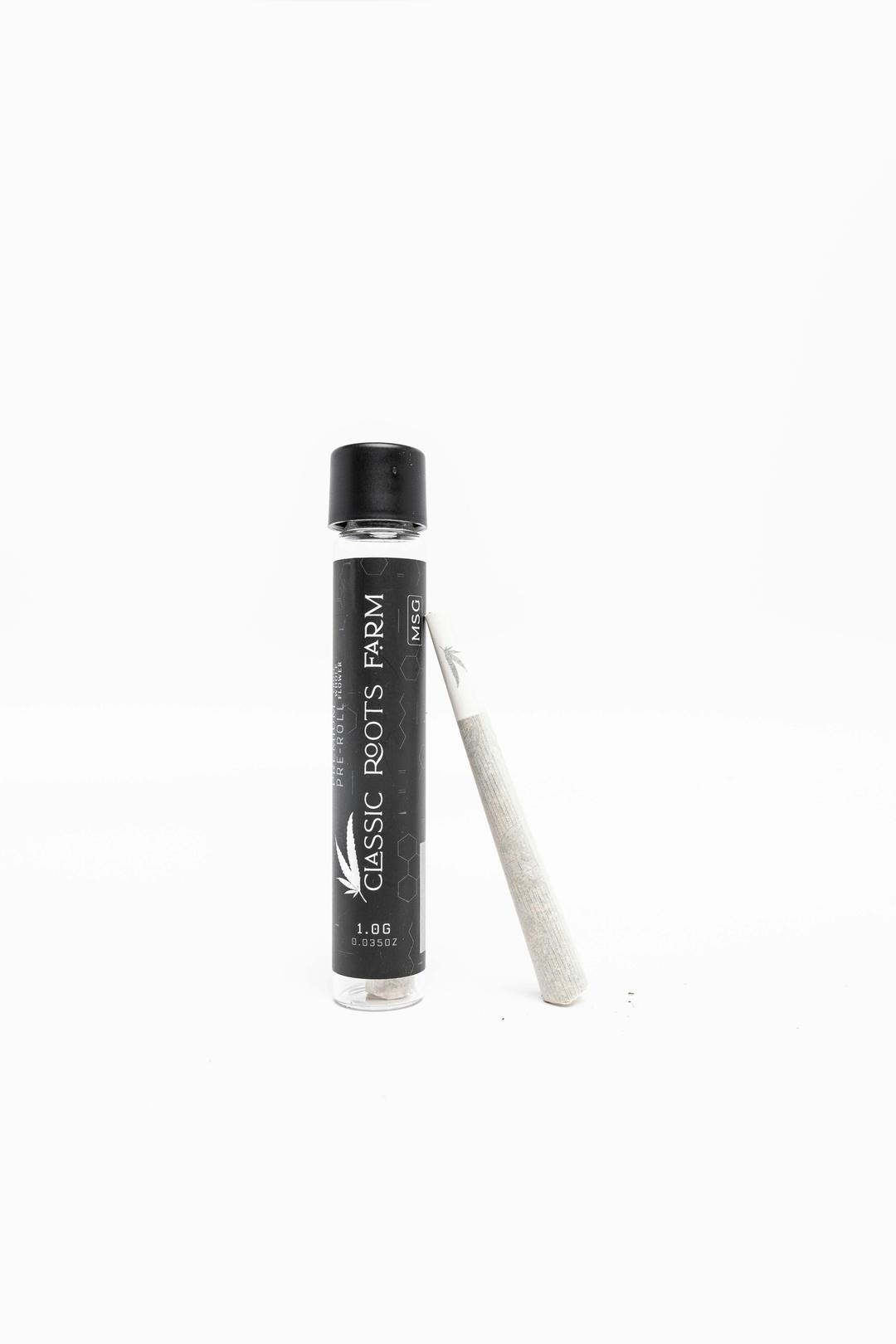 MSG Premium Pre-Roll
