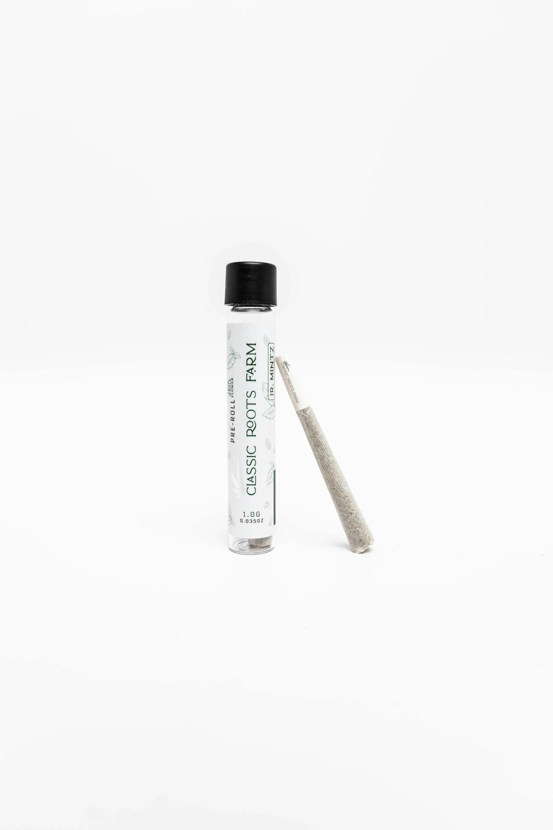Jr. Mintz Premium Pre-Roll
