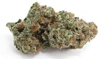 Horchata | 3.5g Flower