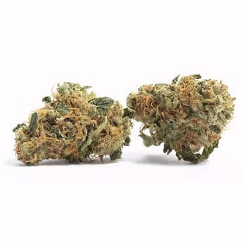 Peanut Butter Souffle | 3.5g Flower