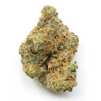Moby Dick | 3.5g Flower