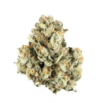 Grape Stomper OG | 3.5g Flower