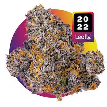 Jealousy | 3.5g Flower