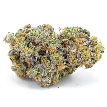 Gary Payton | 3.5g Flower