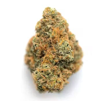 Glazed Apricot Gelato | 3.5g Flower