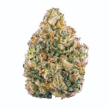 Tropicana Banana | 3.5g Flower