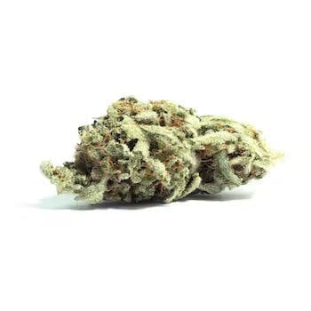 Sugar Shack | 3.5g Flower