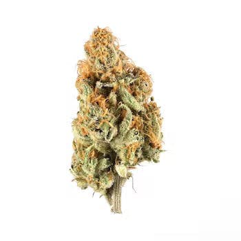 Motorbreath | 3.5g Flower