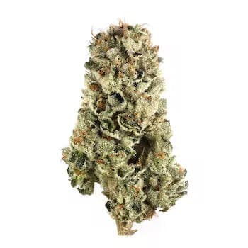 Marshmallow OG | 3.5g Flower