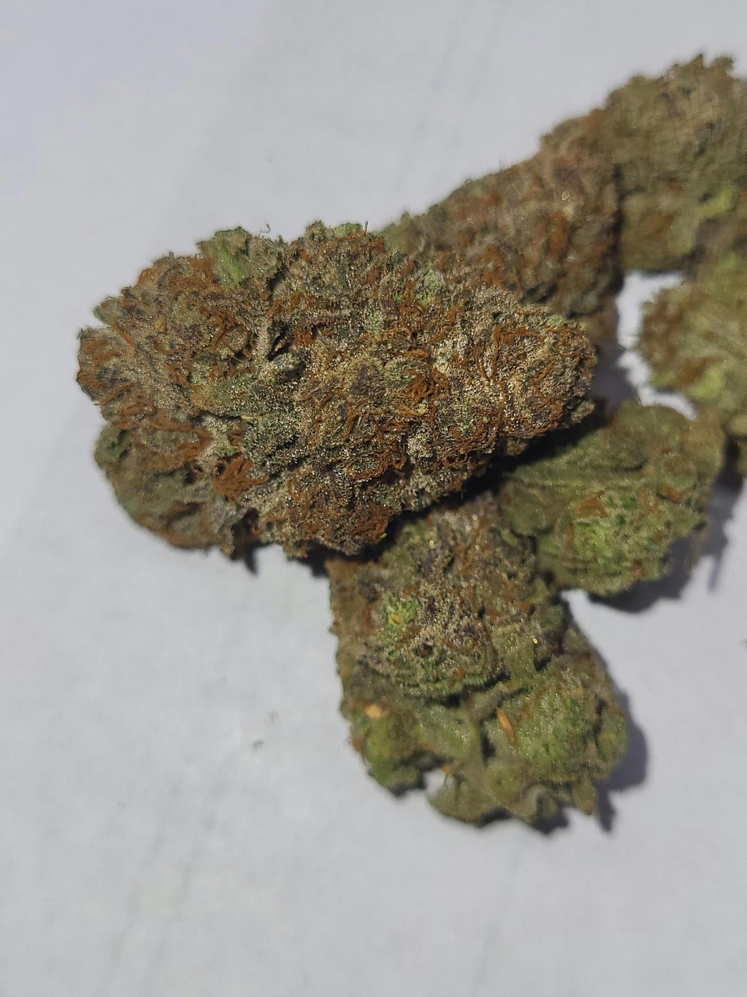 Zookies