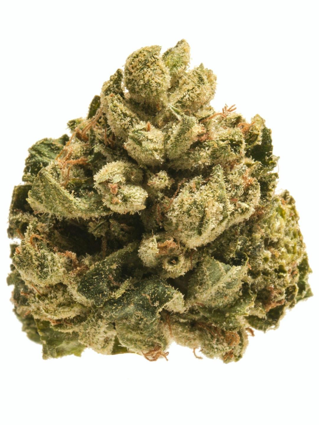 ALIEN O.G (top-shelf)