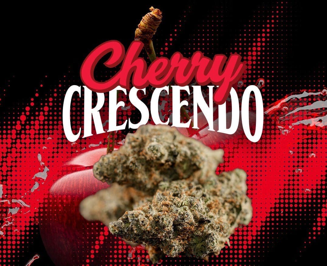 Redeye Cannabis: Cherry Crescendo Pre-Roll 1.2 gram