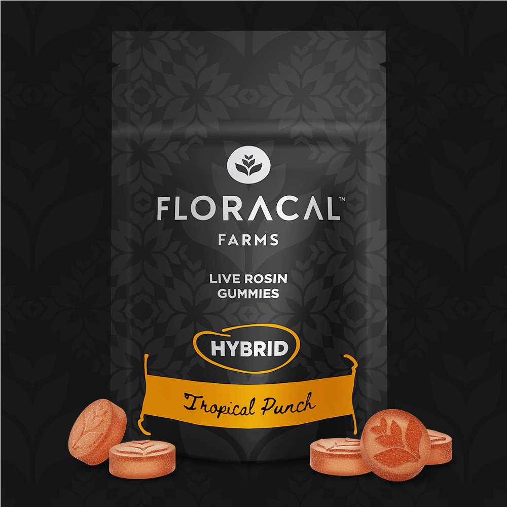 Tropical Punch | Hybrid Live Rosin Gummies 100mg [10pk]