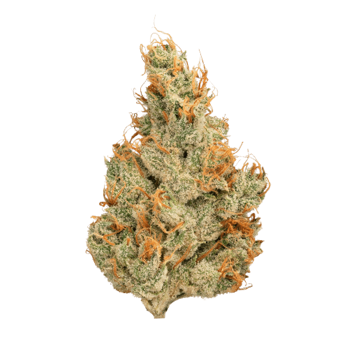 Guava Tangie 3.5