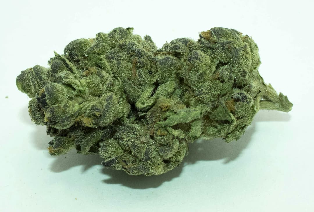 Apple Fritter 1 Gram(32%THC, HYBRID)