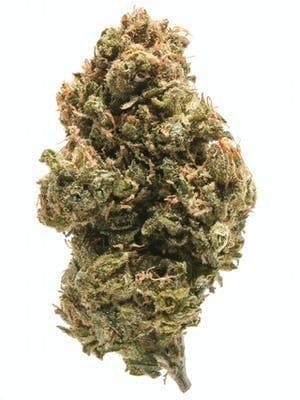 WHITE RUNTZ