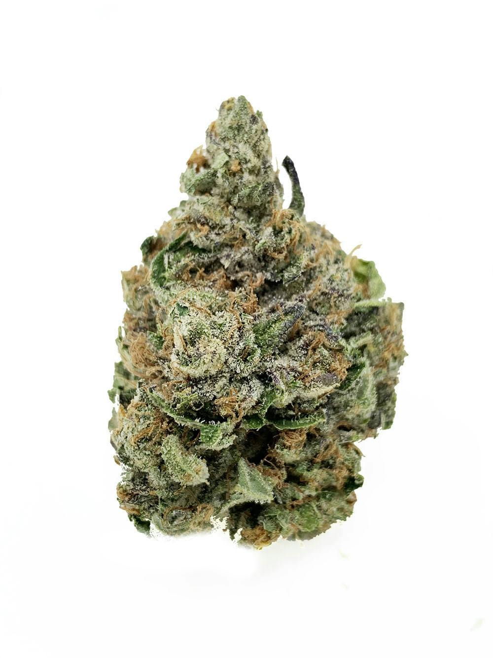 YODA O.G