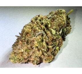 Slurricane