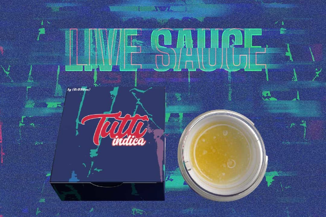 White Tahoe Cookies - Live Sauce - 1g