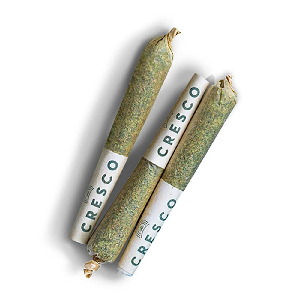 Apple Fritter | Hybrid Shorties 3.5g [7pk]