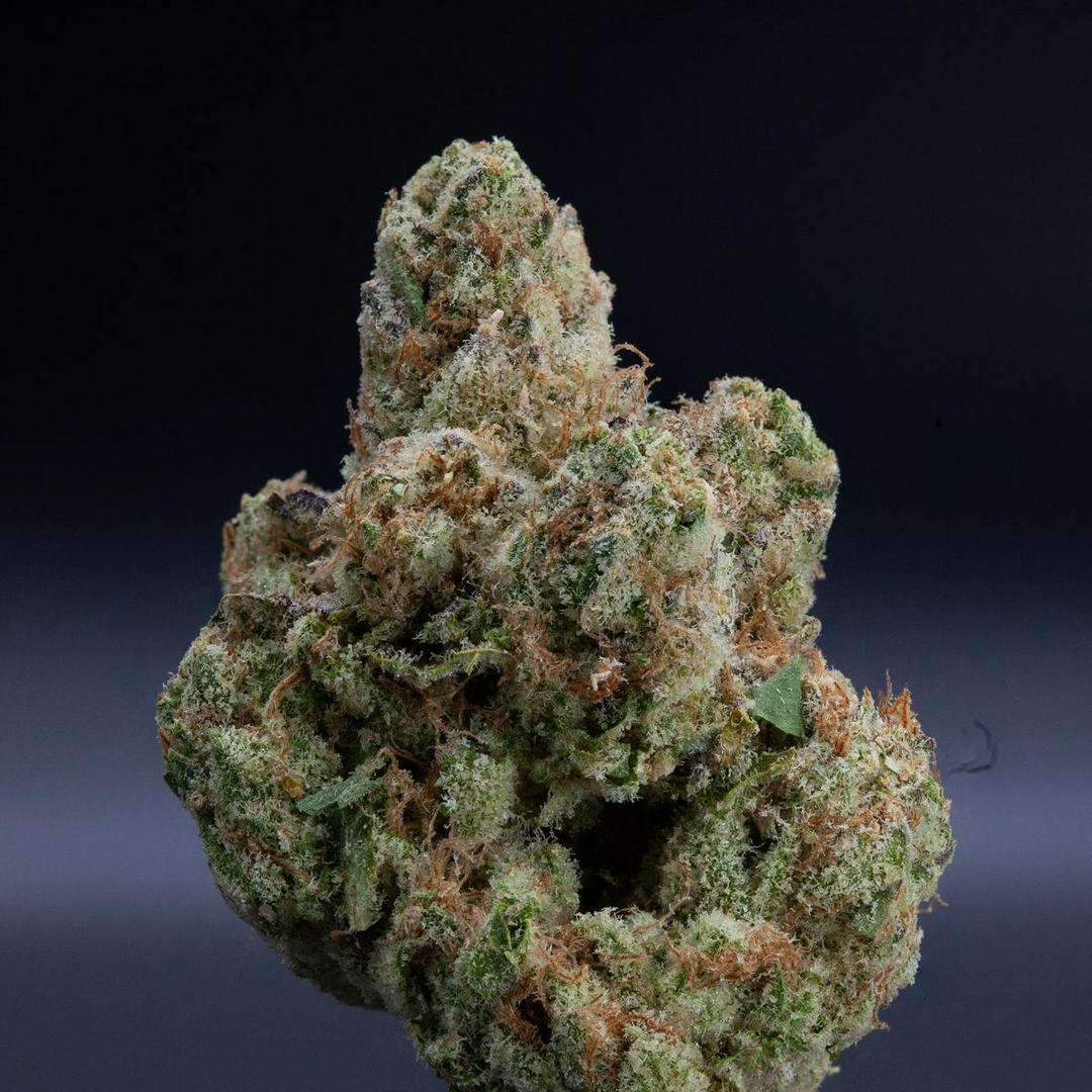 Fruit Pie