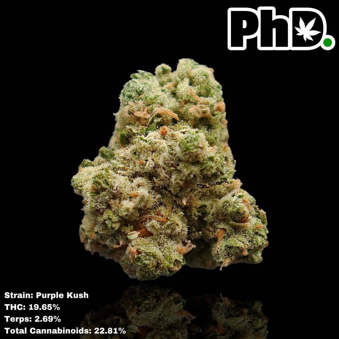 PhD Indoor Flower - Purple Kush