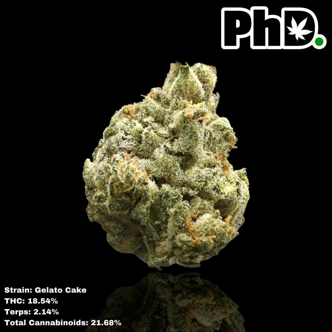 PhD Indoor Flower - Gelato Cake