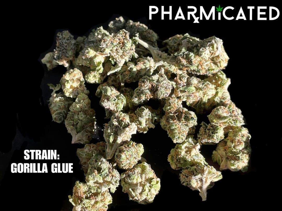 PhD Flower - Gorilla Glue (H)