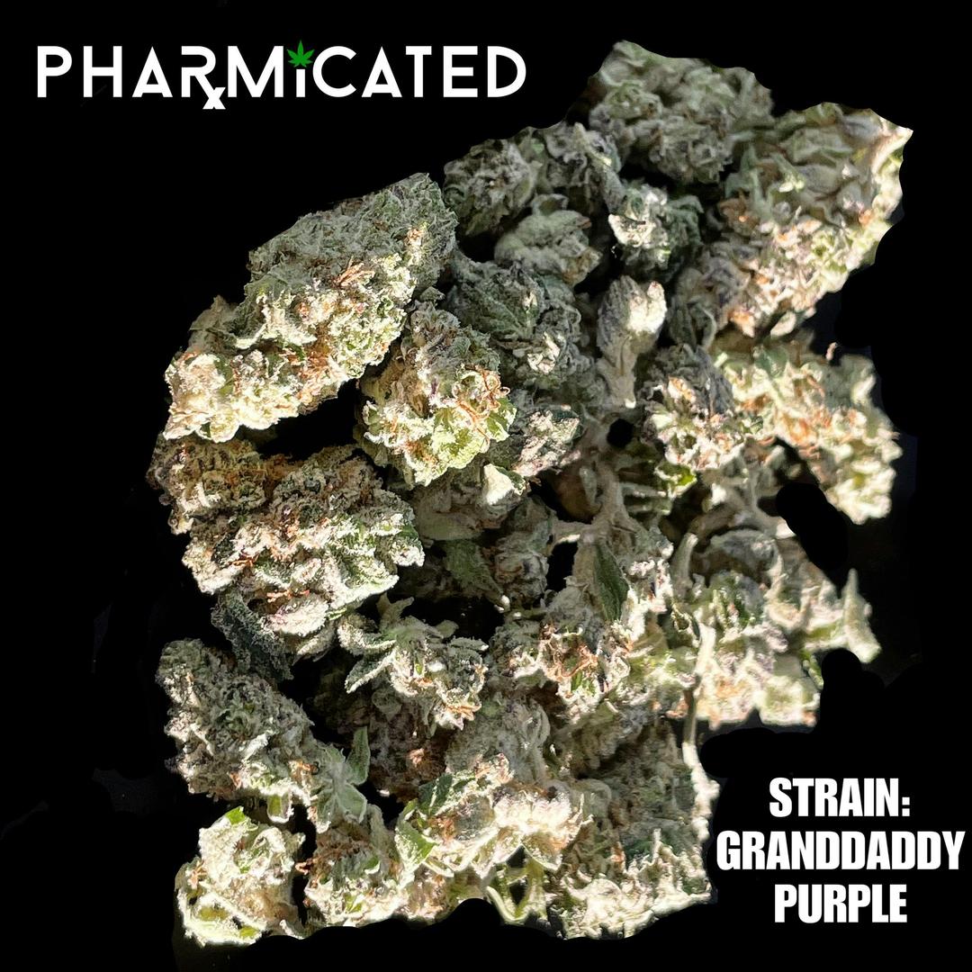 PhD Flower - Granddaddy Purple (H)