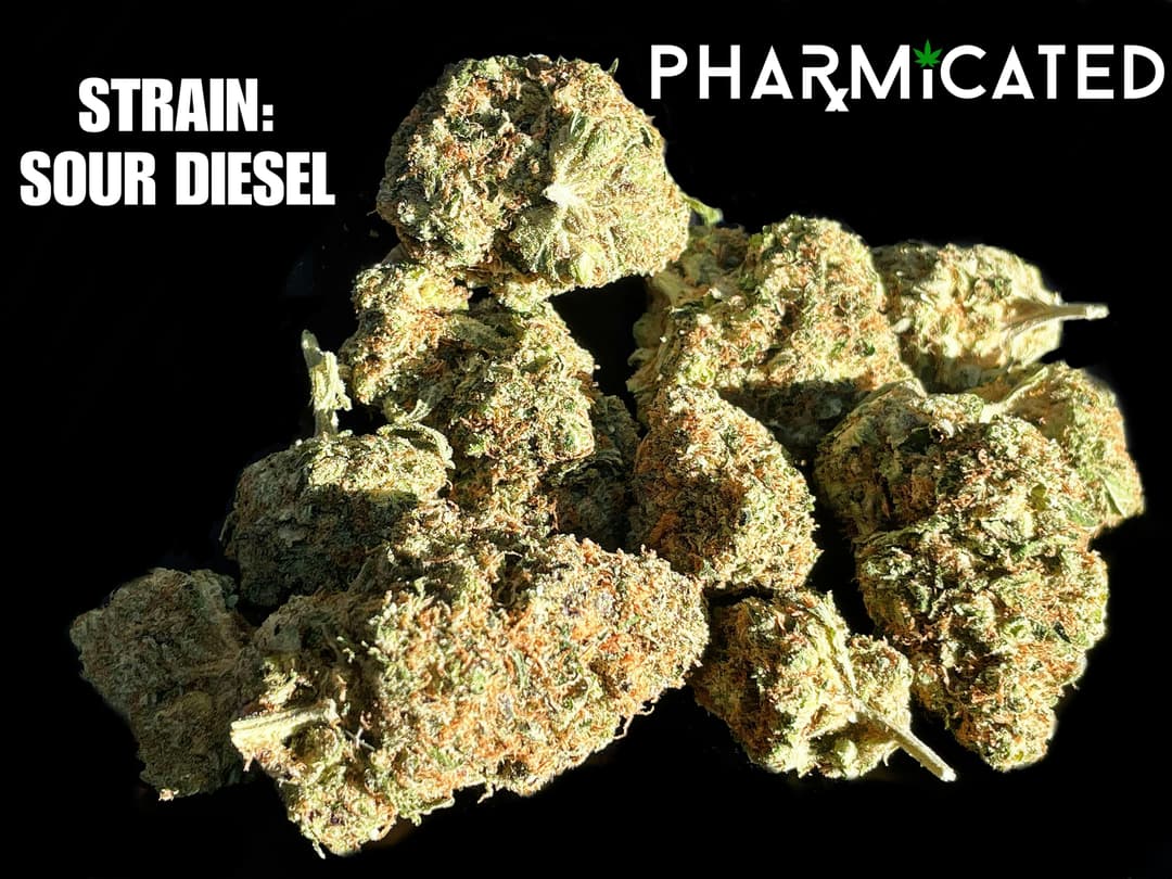 PhD Flower - Sour Diesel (S)