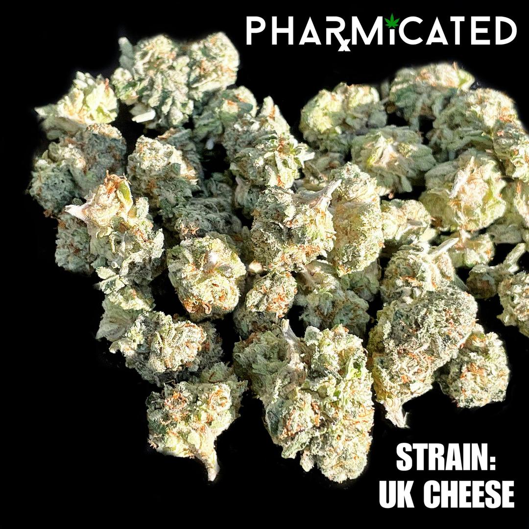 PhD Flower - UK Cheese (S)