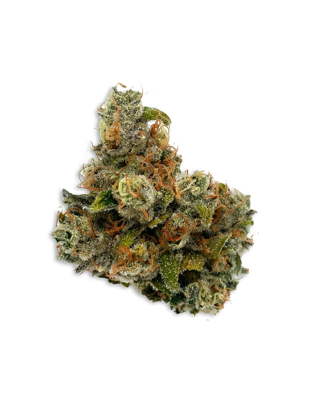 Darwin Flower