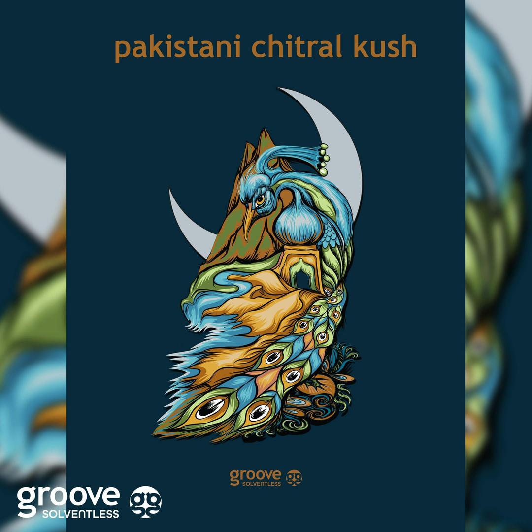 Pakistani Chitral Kush Strain Art Poster (18 X 24)