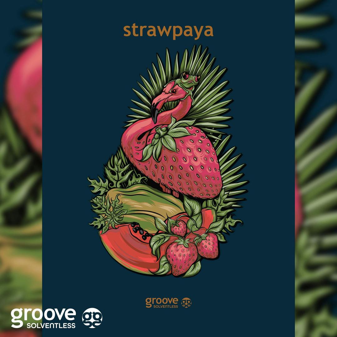 Strawpaya Strain Art Poster (18 X 24)