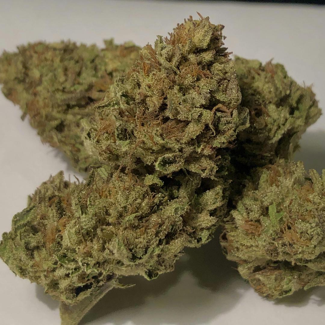 Grease Monkey
